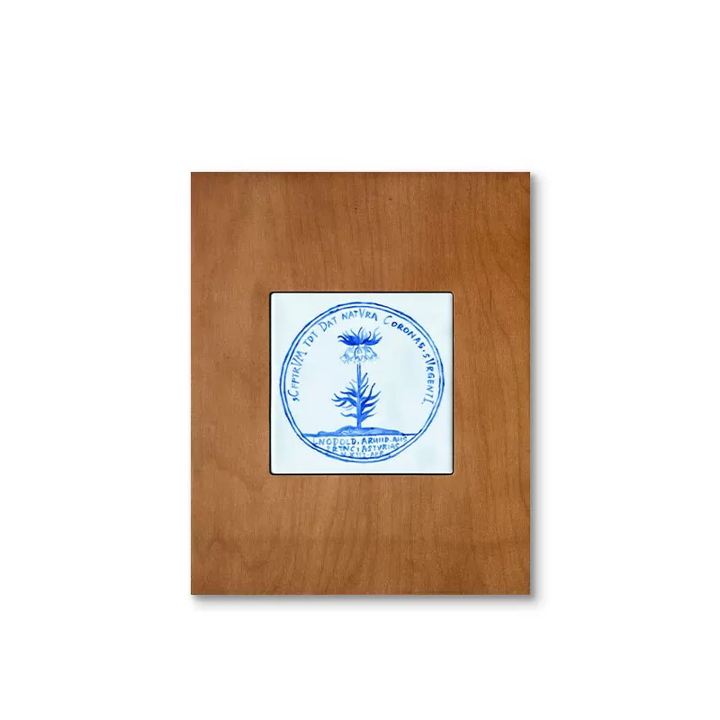 Handcrafted Ceramic Seashell Wall Art with Wooden Frame